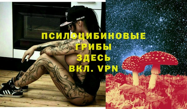 a pvp Алексеевка