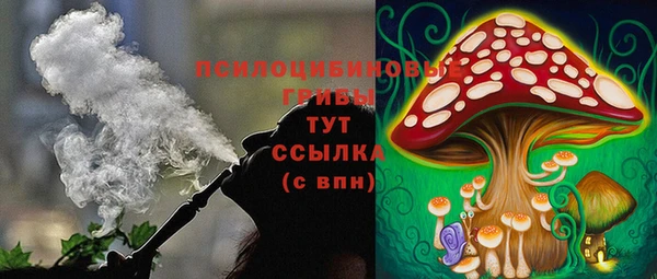 а пвп мука Абаза