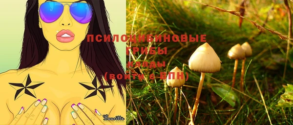 спиды Алексин