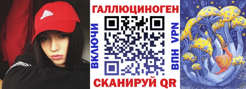 где продают наркотики  Рыльск  Псилоцибиновые грибы Psilocybe 